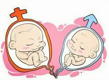 代生男孩包性别生殖中心